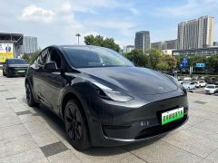 Tesla Model Y 2024 Rear-Wheel Drive - ფოტო 3
