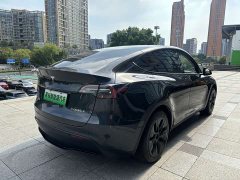 Tesla Model Y 2024 Rear-Wheel Drive - ფოტო 5