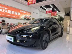 Tesla Model 3 Standard Range RWD Upgrade - ფოტო 1