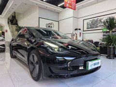 Tesla Model 3 Standard Range RWD Upgrade - ფოტო 3