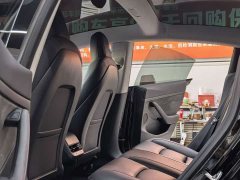 Tesla Model 3 Standard Range RWD Upgrade - ფოტო 4