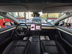 Tesla Model 3 Standard Range RWD Upgrade - ფოტო 6