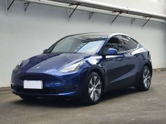 Tesla Model Y Standard Range RWD - ფოტო 1
