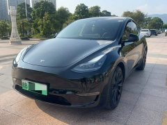 Tesla Model Y Standard Range RWD - ფოტო 1