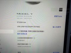 Tesla Model Y 2023 Long Range All-Wheel Drive - ფოტო 11