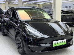 Tesla Model Y 2023 Long Range All-Wheel Drive - ფოტო 3