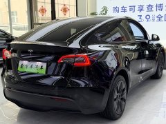 Tesla Model Y 2023 Long Range All-Wheel Drive - ფოტო 8