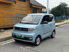 BMW Hongguang MINIEV 2020 Deluxe Edition LFP Battery - ფოტო 1