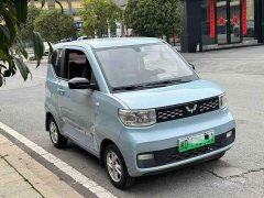 BMW Hongguang MINIEV 2020 Deluxe Edition LFP Battery - ფოტო 3