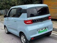 BMW Hongguang MINIEV 2020 Deluxe Edition LFP Battery - ფოტო 6
