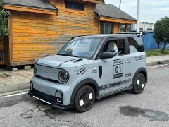 Geely Panda 210km Panda Kart - ფოტო 1