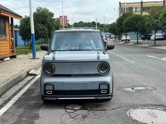 Geely Panda 210km Panda Kart - ფოტო 2
