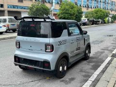 Geely Panda 210km Panda Kart - ფოტო 6
