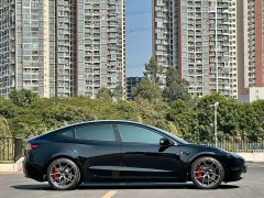 Tesla Model 3 Performance All-Wheel Drive - ფოტო 11