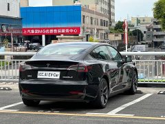 Tesla Model 3 Performance All-Wheel Drive - ფოტო 13