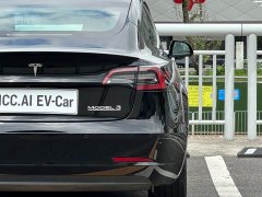 Tesla Model 3 Performance All-Wheel Drive - ფოტო 16
