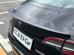 Tesla Model 3 Performance All-Wheel Drive - ფოტო 17