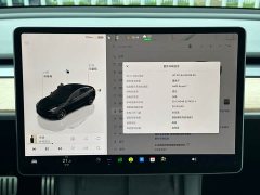 Tesla Model 3 Performance All-Wheel Drive - ფოტო 8
