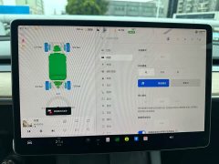 Tesla Model 3 Performance All-Wheel Drive - ფოტო 9