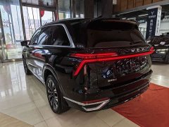 Great Wall WEY Blue Mountain Four-Wheel Drive Extended Range Version - ფოტო 11