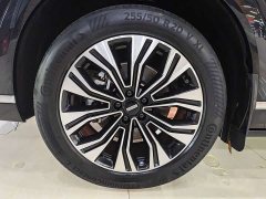 Great Wall WEY Blue Mountain Four-Wheel Drive Extended Range Version - ფოტო 17