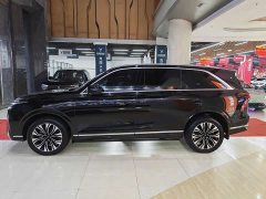 Great Wall WEY Blue Mountain Four-Wheel Drive Extended Range Version - ფოტო 3