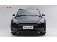 Tesla Model Y Rear-Wheel Drive - ფოტო 2