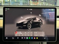 Tesla Model Y 2022 Facelift Rear-Wheel Drive - ფოტო 17