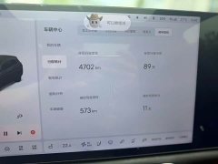 Li Auto L7 Pro - ფოტო 20