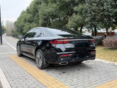 Geely Xingui Xingrui 2.0T Diesel Luxury - ფოტო 5