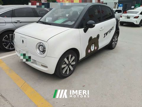 2021 ORA Black Cat 2019 351km Smart Edition - ავტომობილი ჩინეთიდან