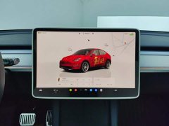 Tesla Model Y 2023 Rear-Wheel Drive - ფოტო 13