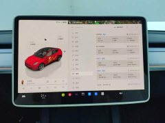 Tesla Model Y 2023 Rear-Wheel Drive - ფოტო 14