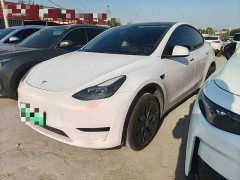 Tesla Model Y 2024 Rear-Wheel Drive - ფოტო 1