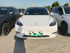 Tesla Model Y 2024 Rear-Wheel Drive - ფოტო 2