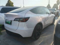 Tesla Model Y 2024 Rear-Wheel Drive - ფოტო 7