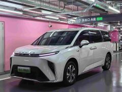 Audi Dajia 9 Long Range Prairie Seven-Seater - ფოტო 1