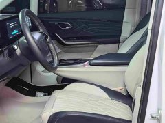 Audi Dajia 9 Long Range Prairie Seven-Seater - ფოტო 13