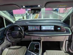 Audi Dajia 9 Long Range Prairie Seven-Seater - ფოტო 8