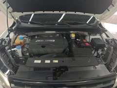 GAC Aion GS4 270T DCT Enjoyment Edition - ფოტო 5
