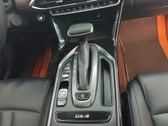 GAC Aion GS4 270T DCT Enjoyment Edition - ფოტო 11