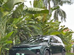 Li Auto L9 Max - ფოტო 6