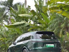 Li Auto L9 Max - ფოტო 8