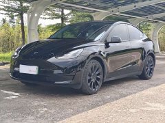 Tesla Model Y Rear-Wheel Drive - ფოტო 1
