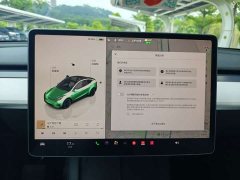Tesla Model Y Rear-Wheel Drive - ფოტო 17