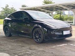 Tesla Model Y Rear-Wheel Drive - ფოტო 3