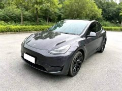 Tesla Model Y 2024 Rear-Wheel Drive - ფოტო 1
