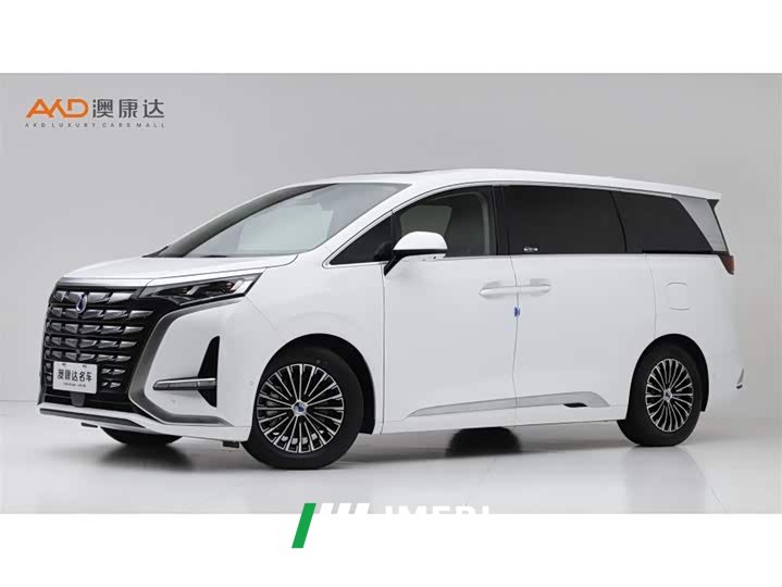 Denza D9 DM-i 970 AWD Flagship