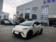 BYD Seagull Glory Edition 305km Vitality Version - ფოტო 1