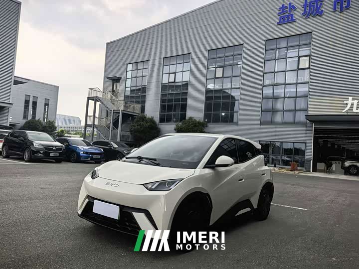 BYD Seagull Glory Edition 305km Vitality Version
